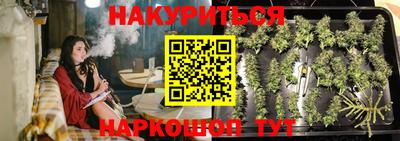 стафф Кандалакша