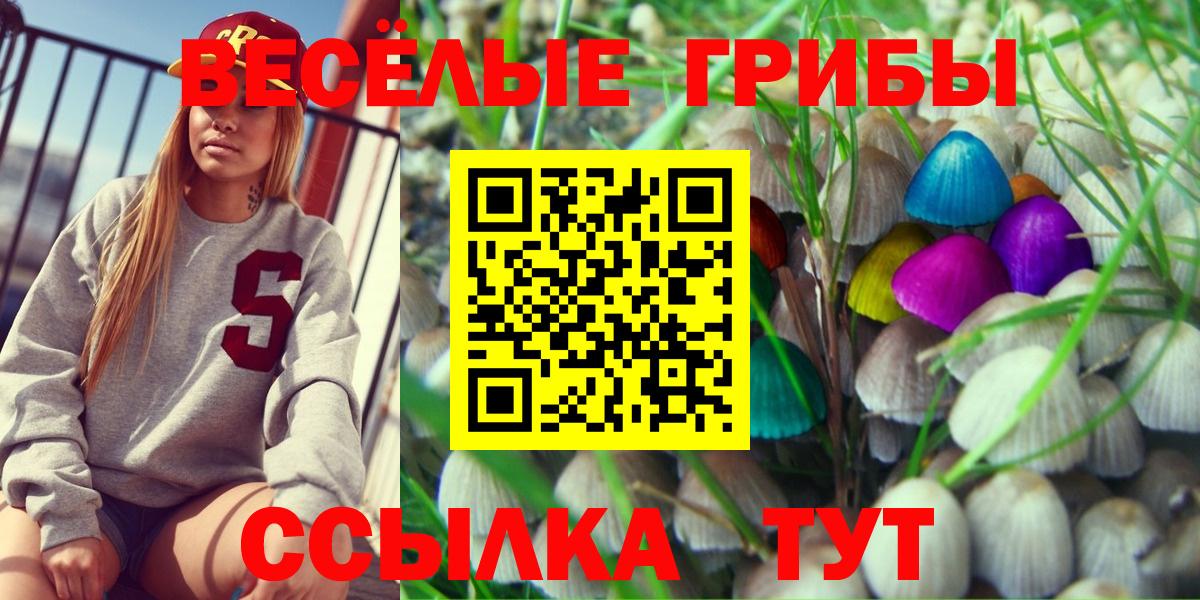 Галлюциногенные грибы GOLDEN TEACHER  Вход с VPN  Удомля  Псилоцибиновые грибы MAGIC MUSHROOMS 